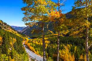 Road to Guanella Pass-1649 Road to Guanella Pass-1649